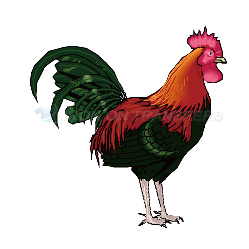 Birds Iron-on Stickers (Heat Transfers)NO.2150